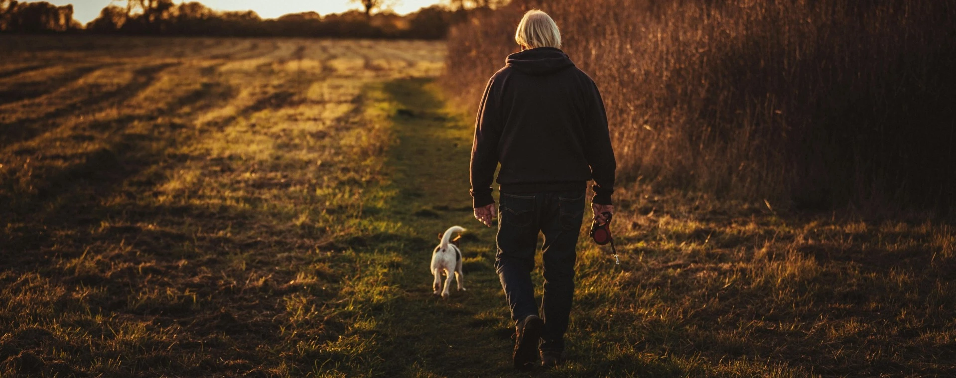 Image of a dog and a man on a walk.